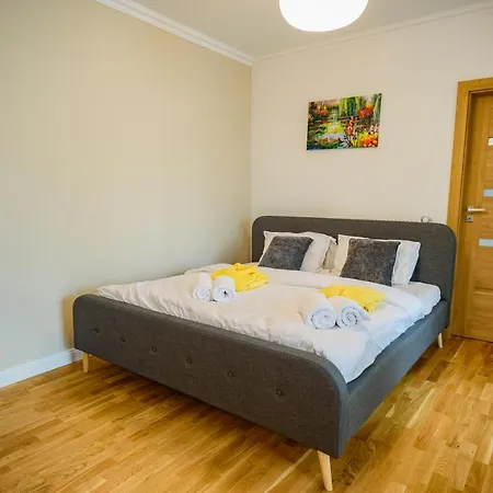 Luxury City Centre With Barbecue Grill * Cluj-Napoca