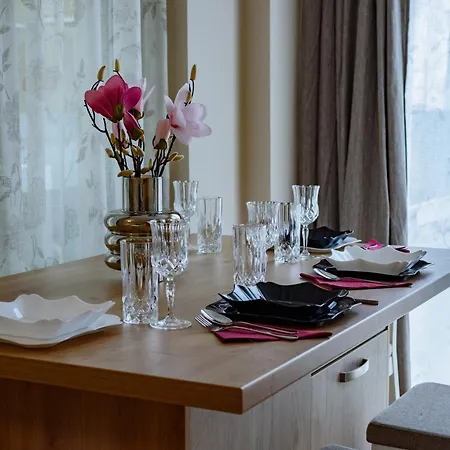 Luxury City Centre With Barbecue Grill Apartmán Kluž